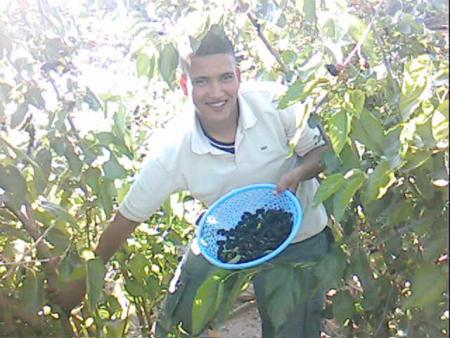 kacem